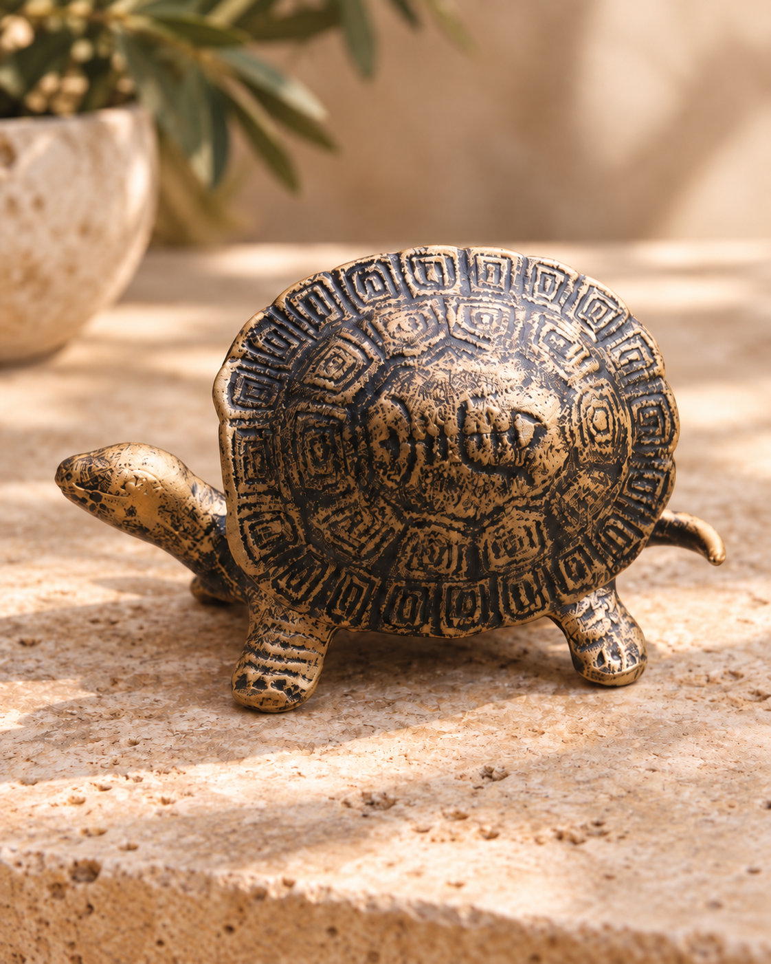 Tortuga Lidded Catchall